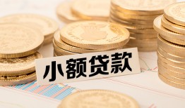 深圳松岗街道哪里有小额贷款-深圳松岗街道身份证贷款平台-深圳松岗街道民间短借